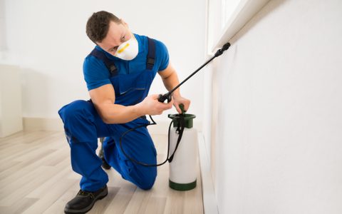 Don’t Let the Pests Take over Your Home