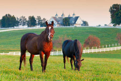 Horse Property Lexington KY