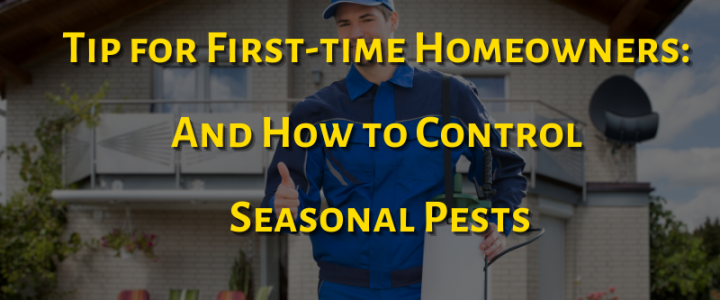 Tip for First-time Homeowners: How to Control Seasonal Pests first time homeowners and how to control pests